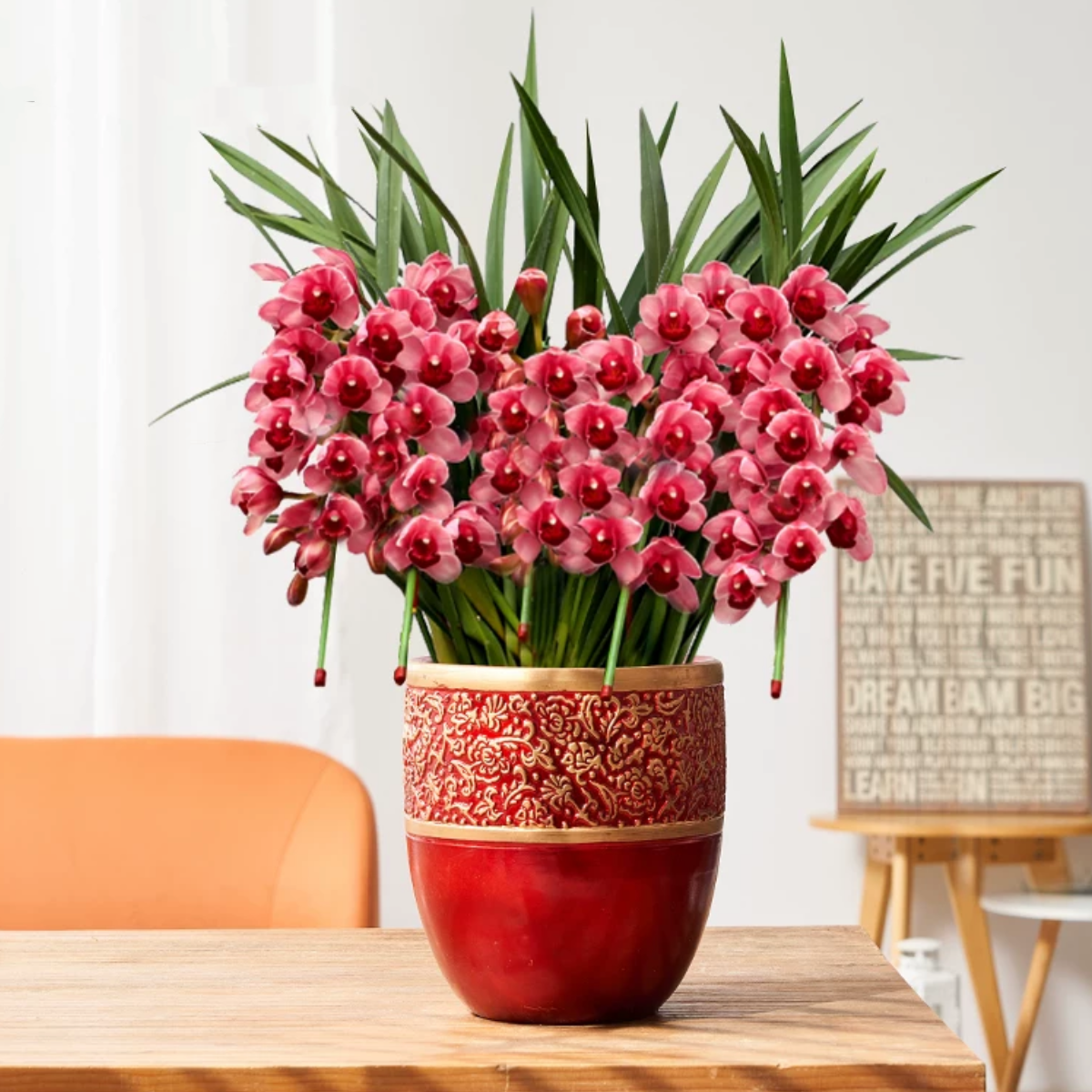 红色大花惠兰 韩国垂兰 大花蕙