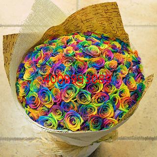 梦幻爱情（预订）16003