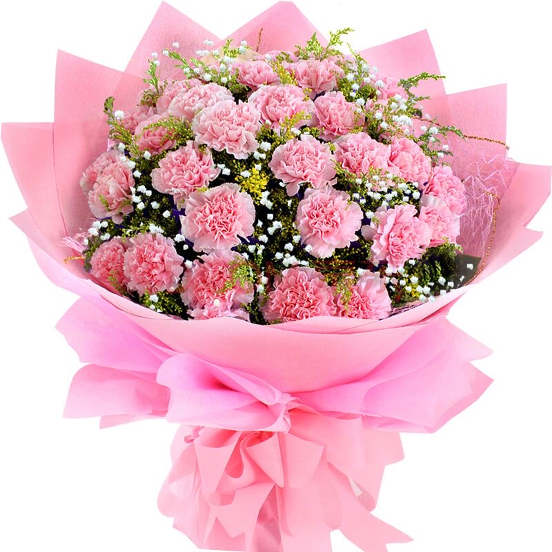 温馨问候-19朵粉色康乃馨花束八角包装