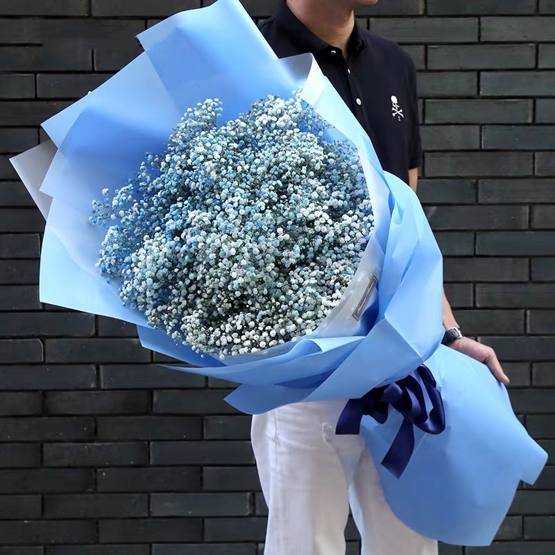 圆满的浪漫-超大蓝色满天星精美