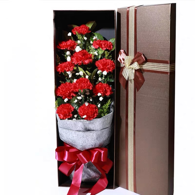 健康幸福-11朵红色康乃馨配精