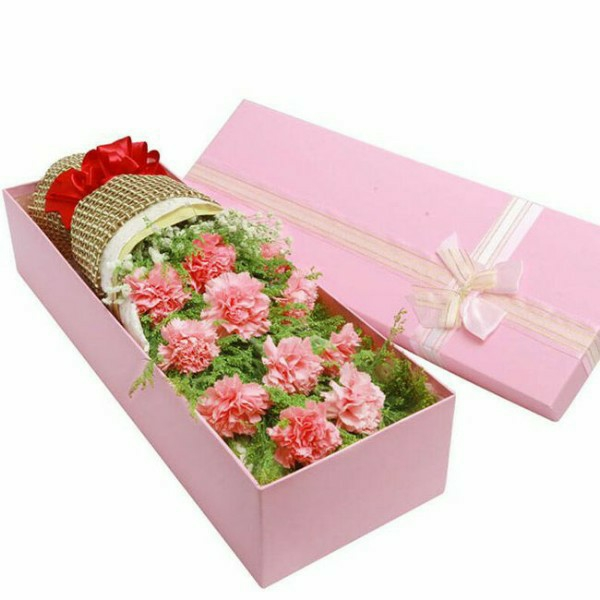 活力青春-11朵粉色康乃馨配精