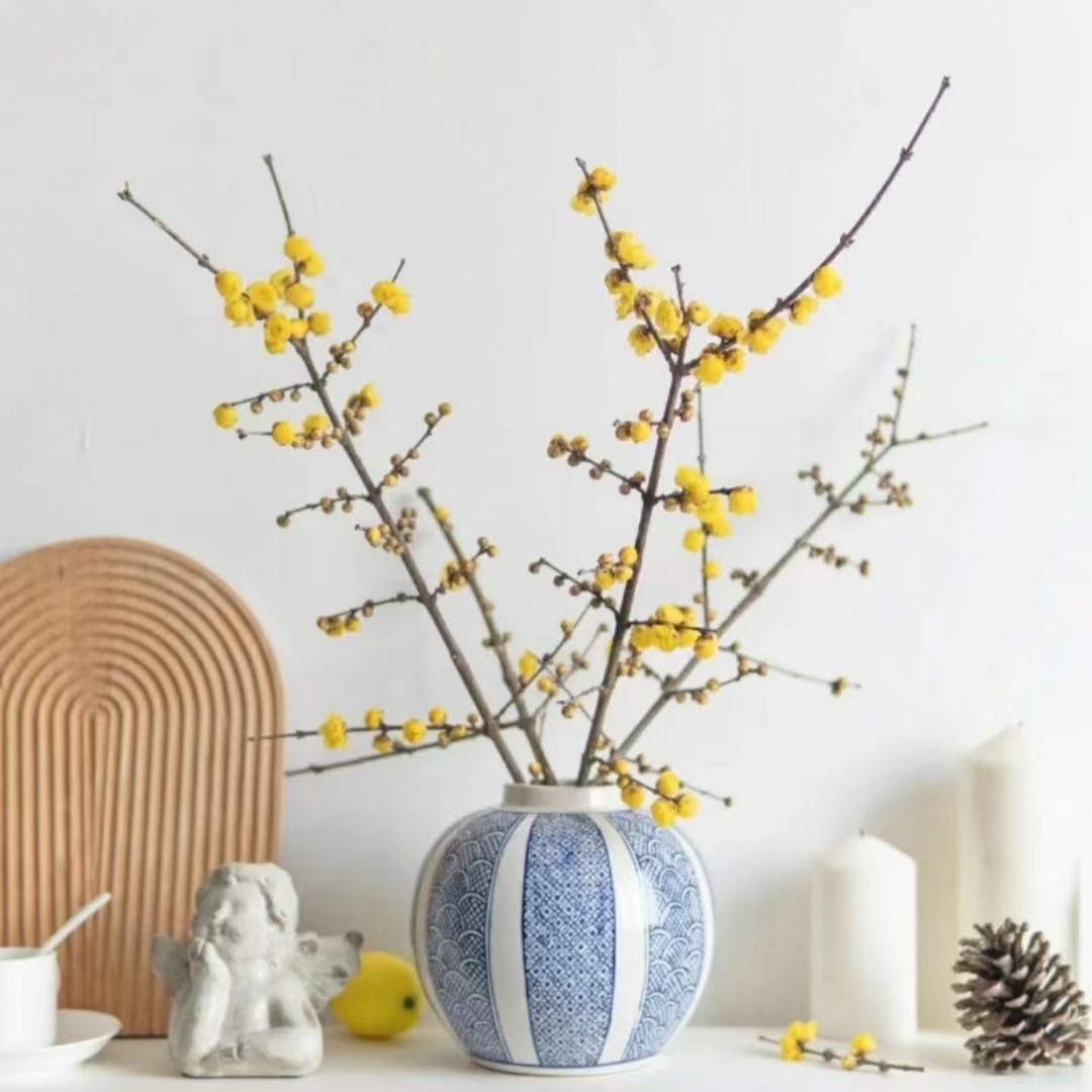 腊梅 1枝 鲜切花