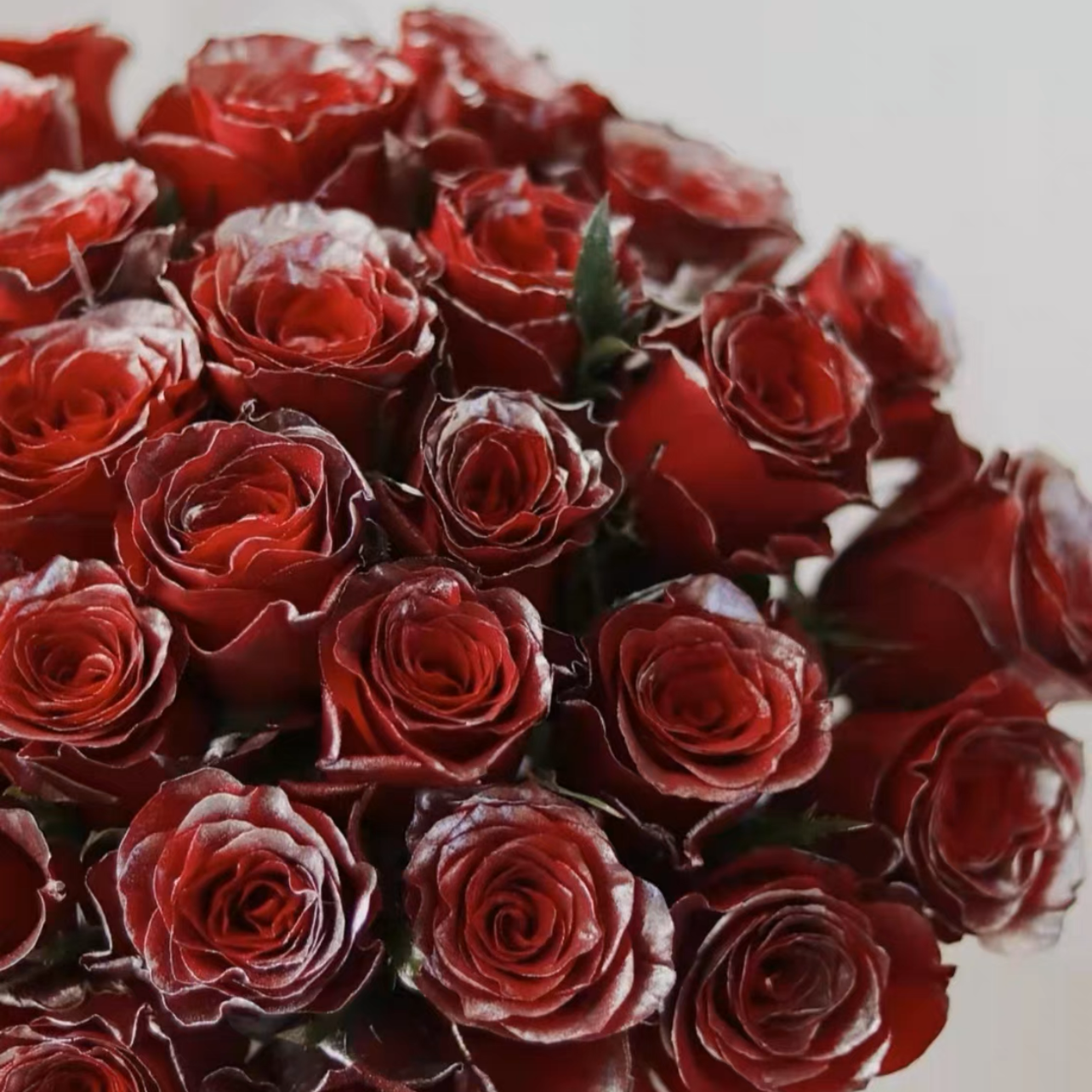 银河玫瑰花1枝 单只拉普然极光