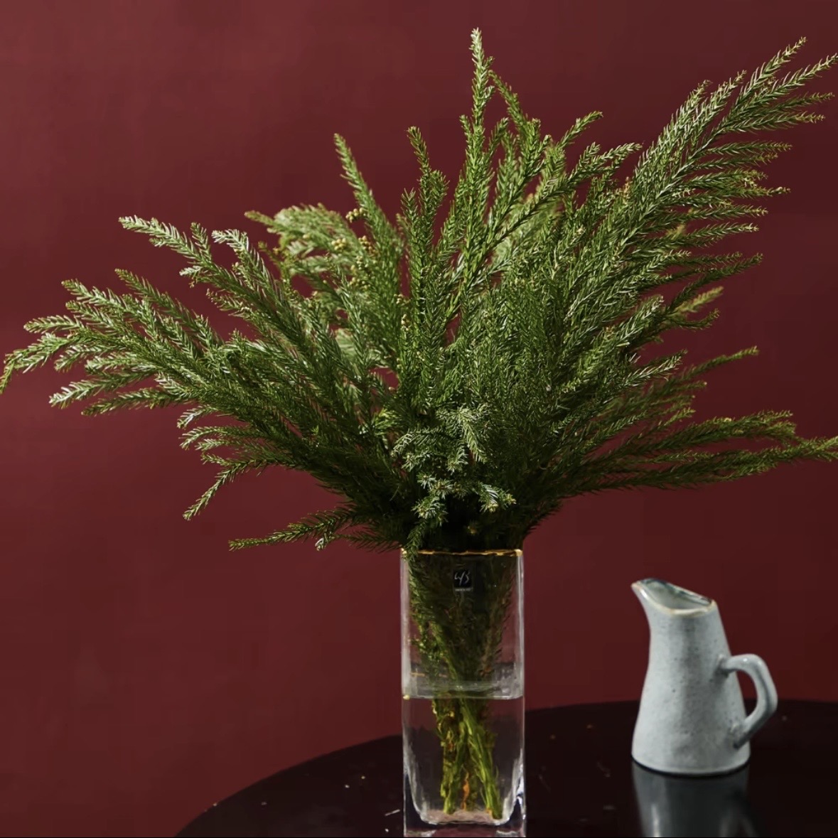 天竺少女松枝1扎3-5枝圣诞叶