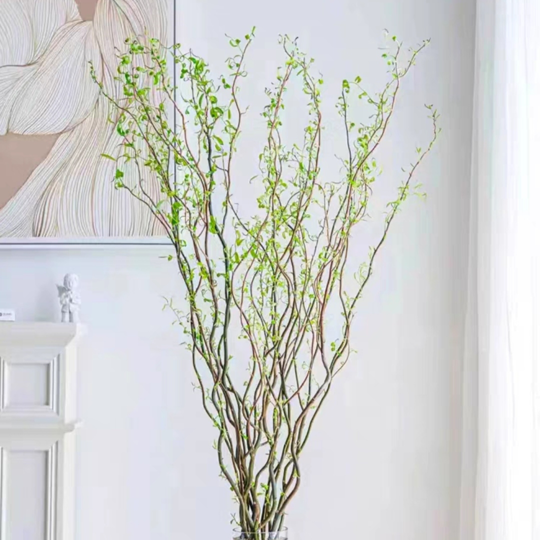 龙柳鲜切花1扎水培鲜花龙柳鲜枝