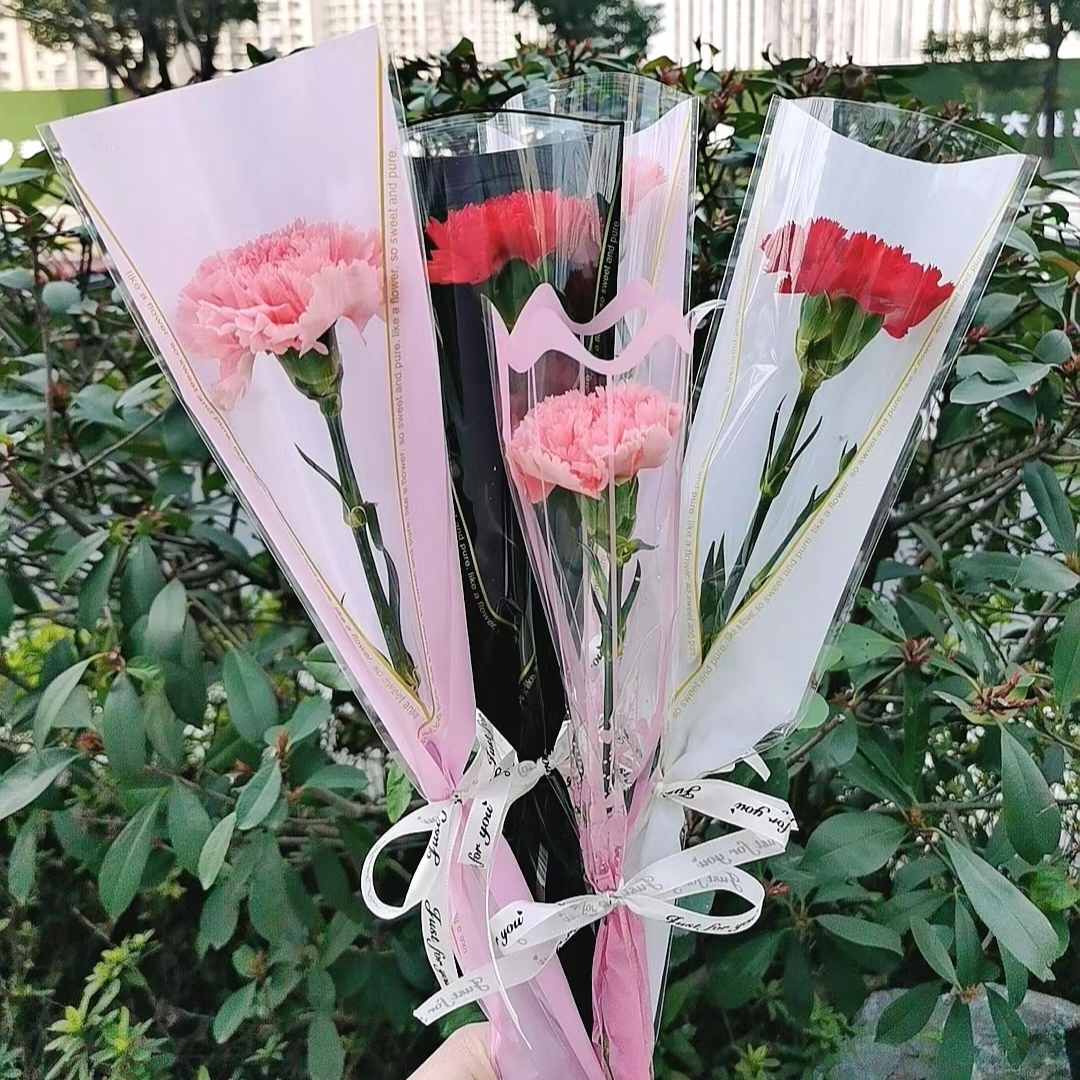 单只康乃馨 1朵康乃馨配套袋 精选康乃馨 单枝康乃馨 单支鲜花