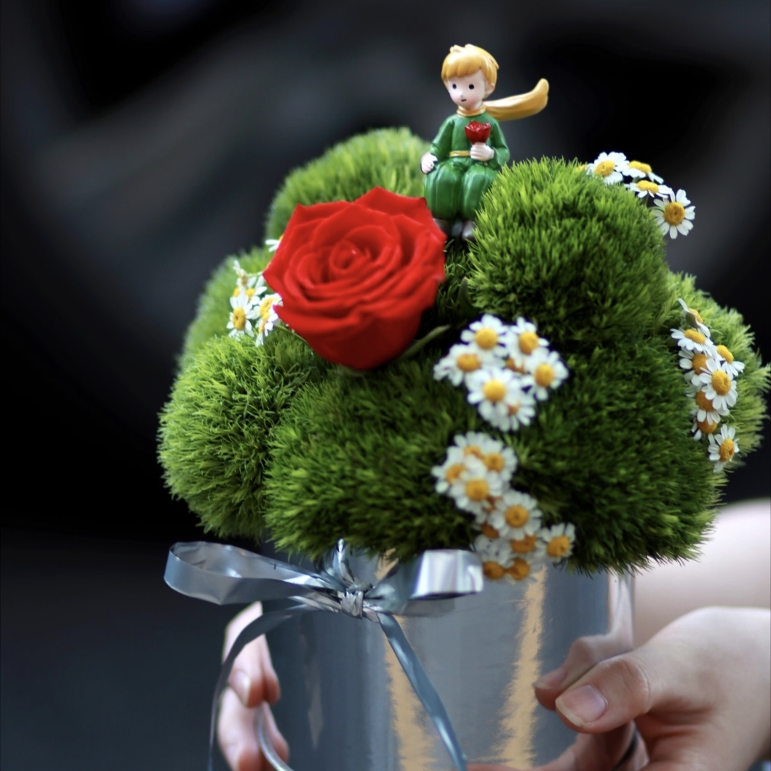 小王子抱抱桶/绿毛球和洋甘菊配