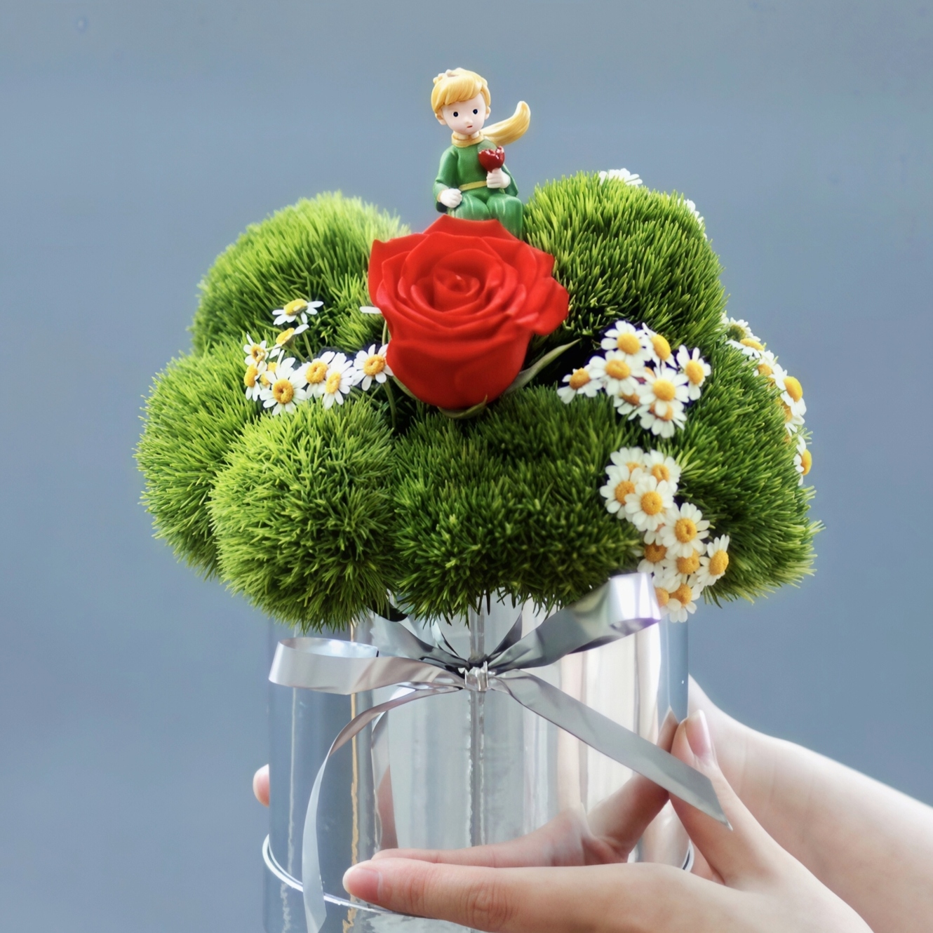 小王子抱抱桶/绿毛球和洋甘菊配