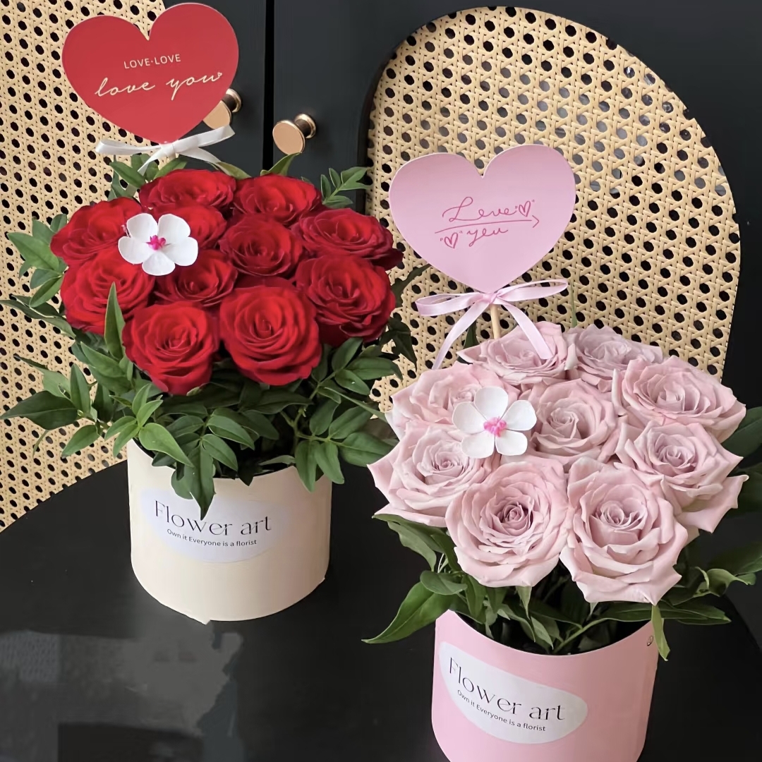 我的公主/11朵红玫瑰/粉玫瑰