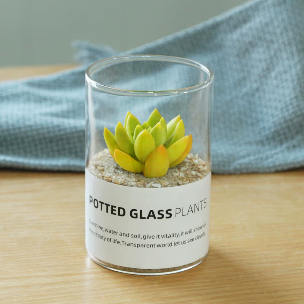 迷你玻璃瓶网红多肉植物盆栽品种随机好看好养好活