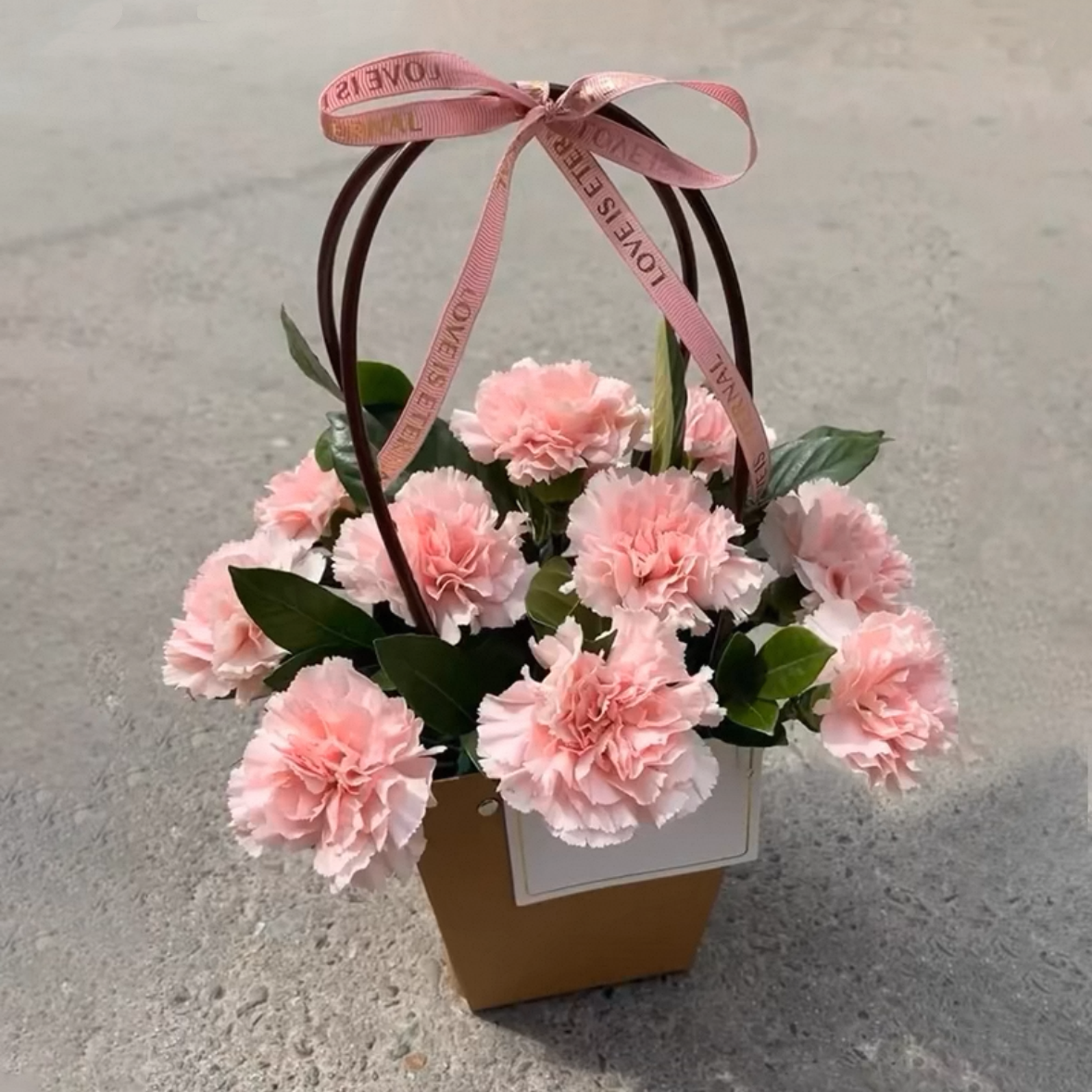 貌美如花/母亲节康乃馨11朵礼