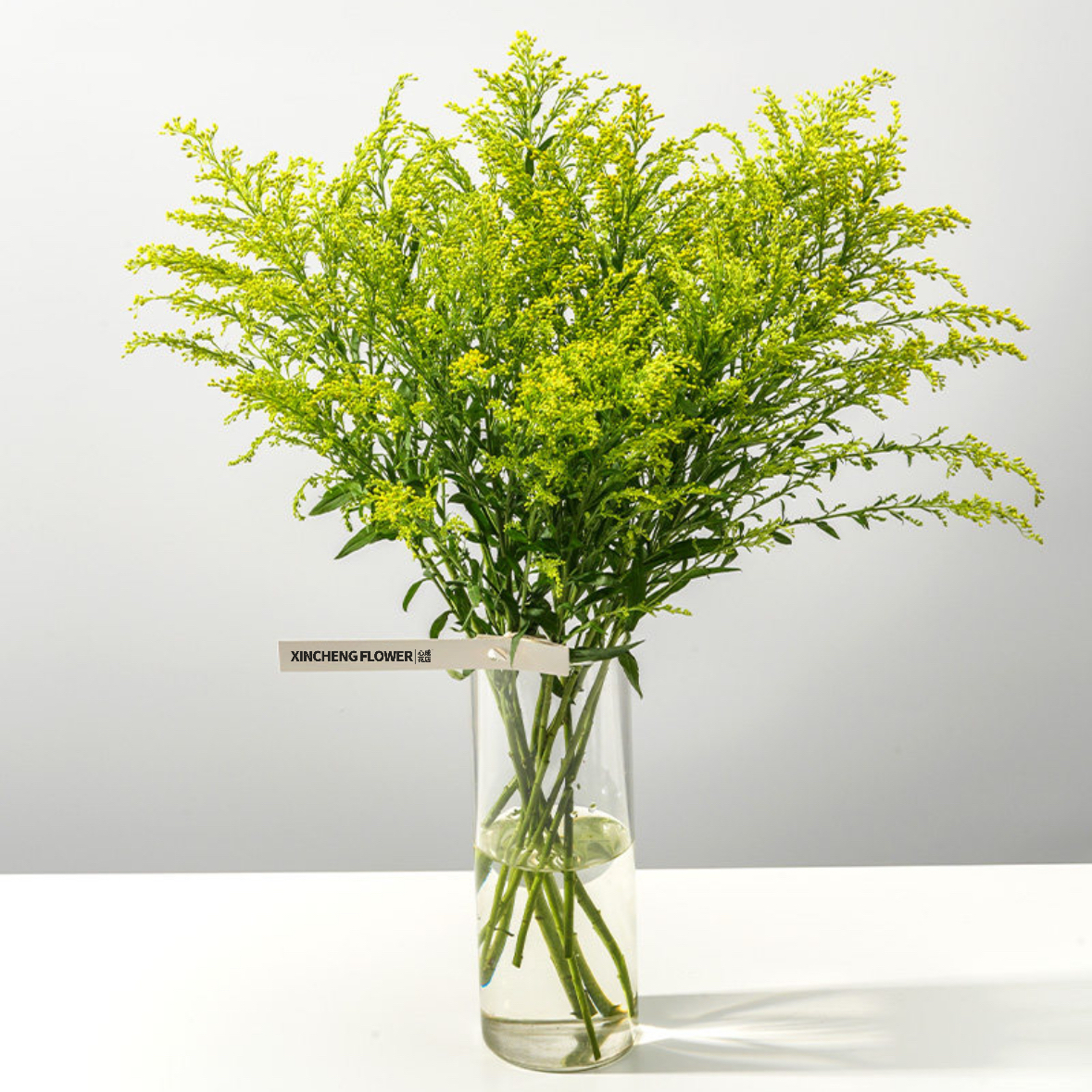 黄英 鲜切花 1扎8-10枝 