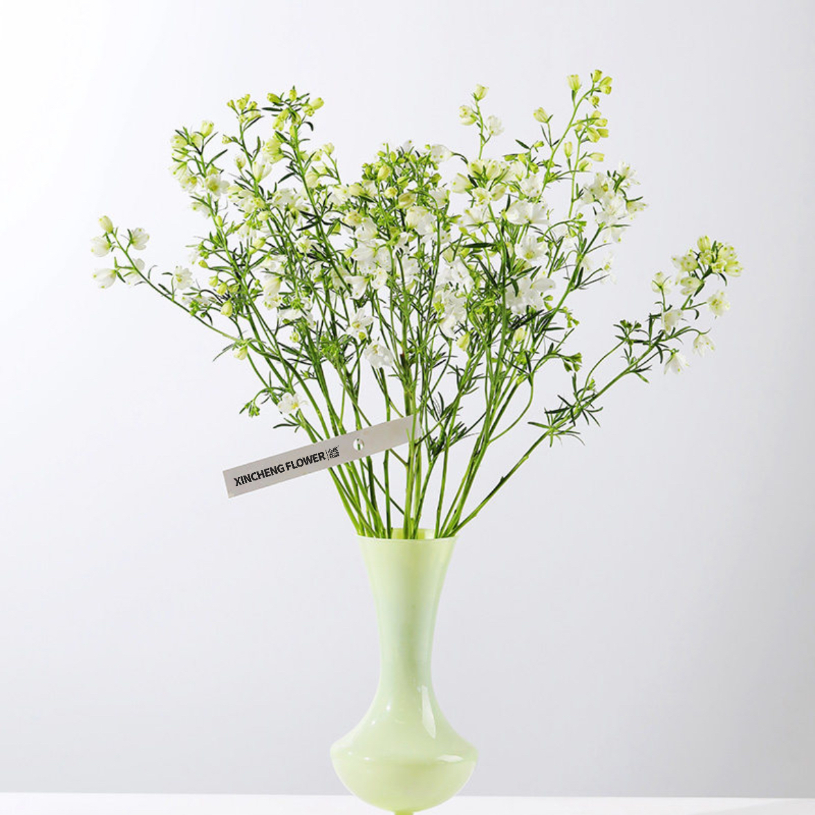 白色小飞燕 1扎 家庭生活鲜花 花店送花上门