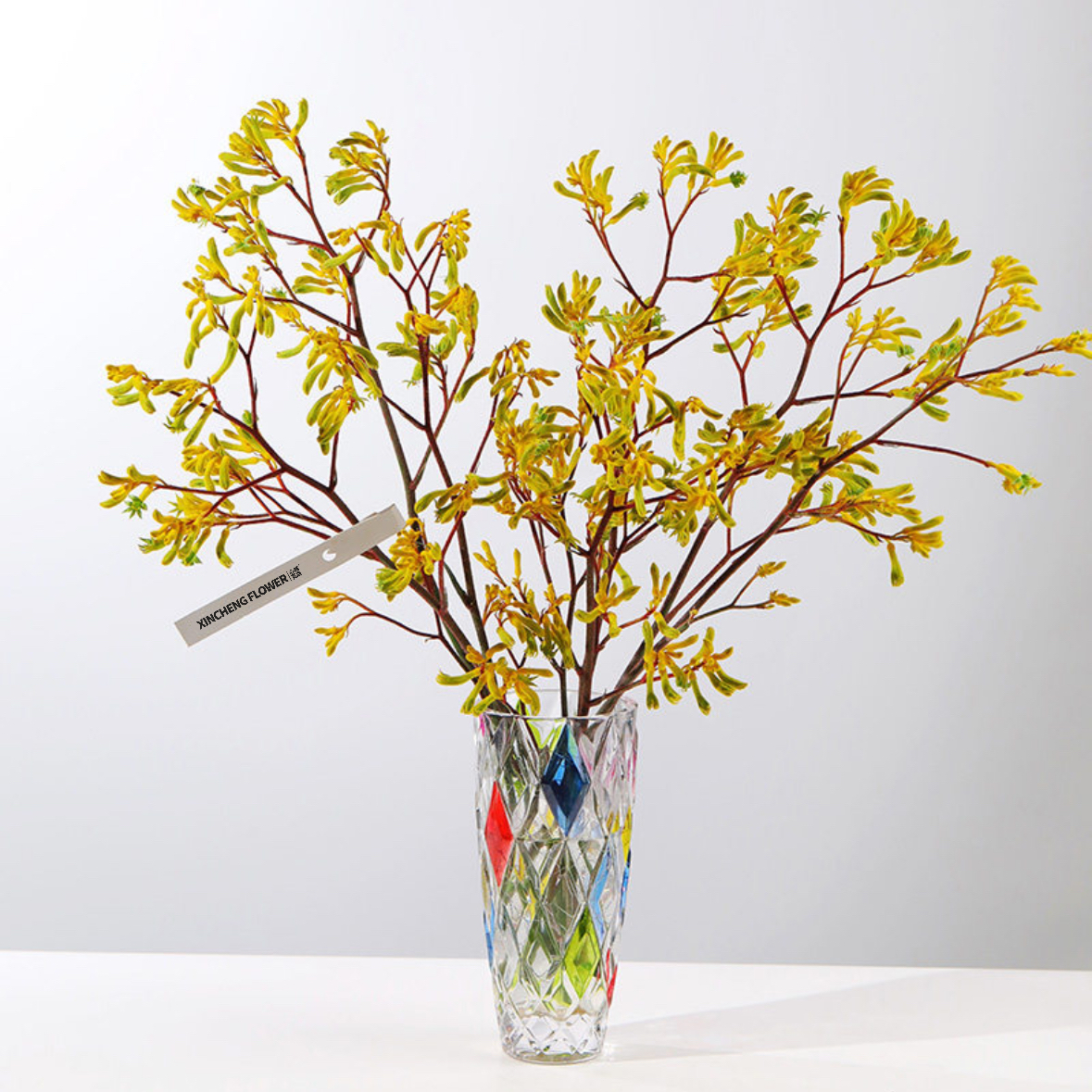 黄色袋鼠爪 袋鼠花 1扎4-5枝 家庭生活鲜花 花店送花上门