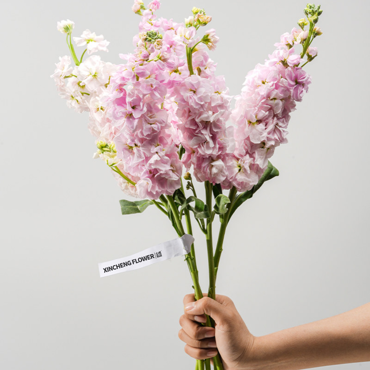 紫罗兰鲜花1扎家庭生活鲜花室内办公室花瓶插花颜色随机粉色紫色白色