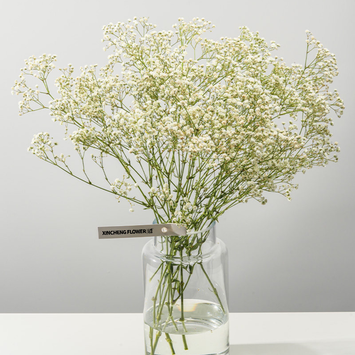 白色满天星 鲜切花1扎200g