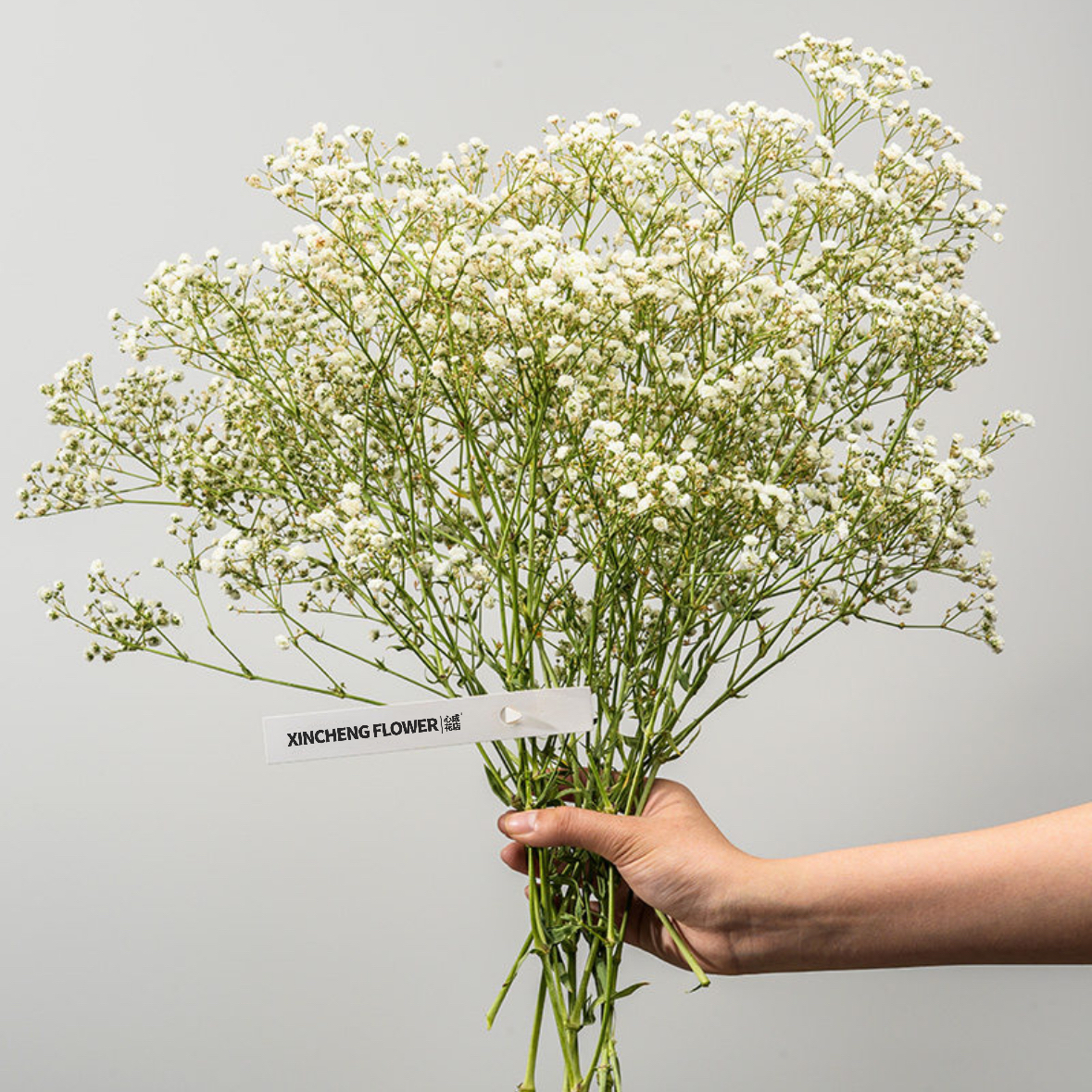 白色满天星 鲜切花1扎200g