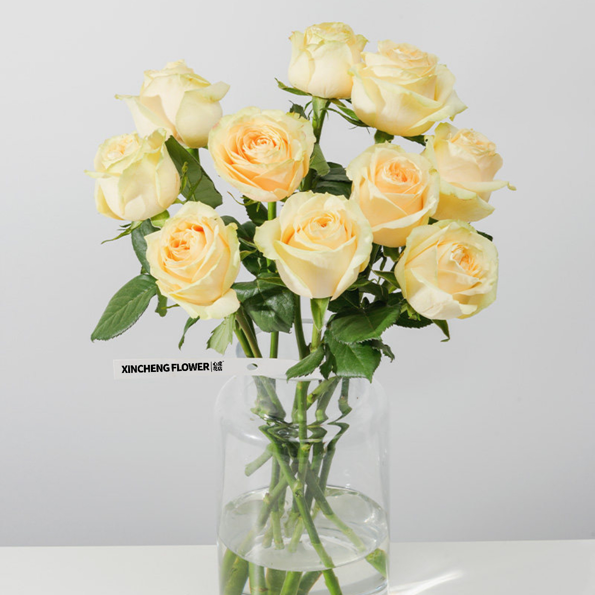 香槟玫瑰花1扎8-10枝 蜜桃雪山 鲜切花 家庭生活鲜花 花店送花上门