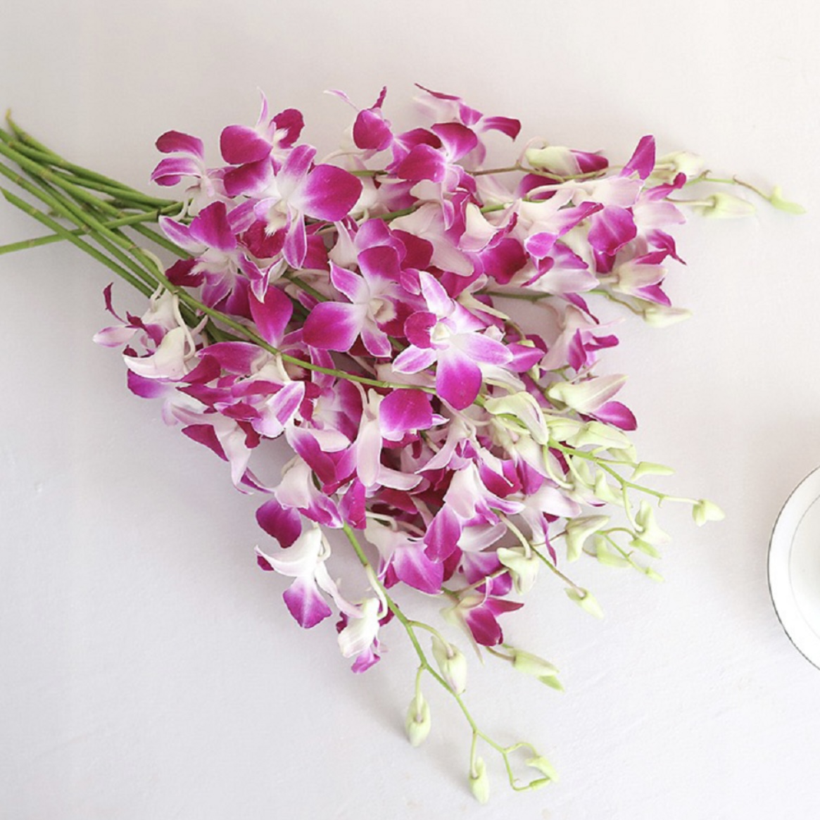 【进口】紫色 洋兰 鲜切花【1扎10枝】