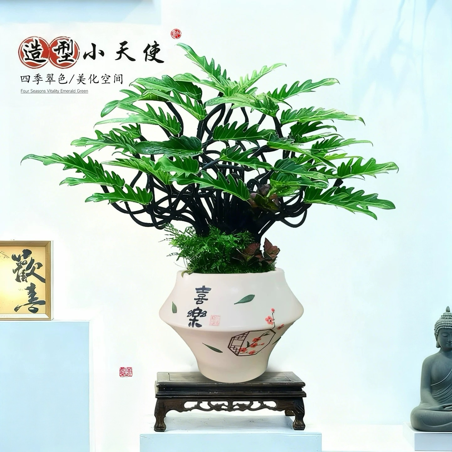 造型小天使组合盆栽室内桌面大绿植书房办公茶几好养植物四季常青