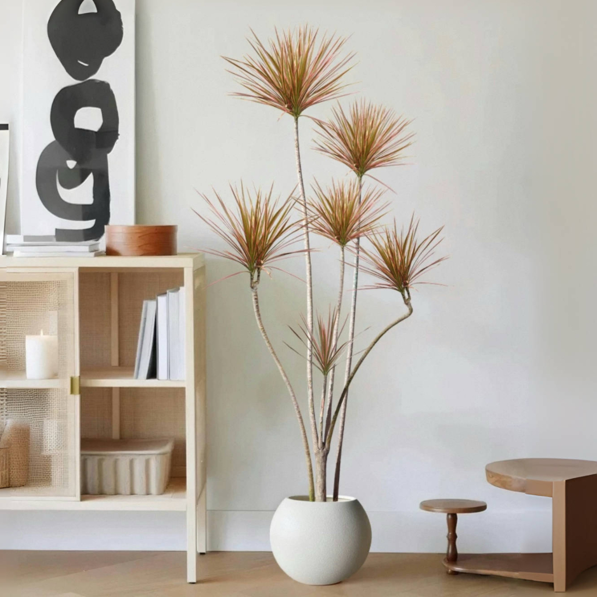 网红千年木绿植七彩铁龙血树客厅