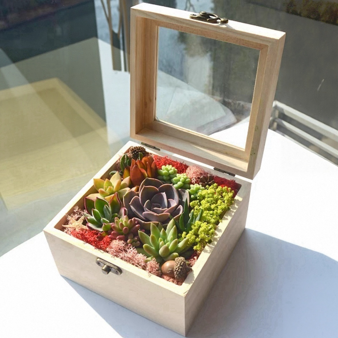 礼品木盒伴手礼多肉组合盆栽创意