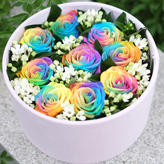 爱的表白-9朵彩虹玫瑰花+配花+精美绒布礼盒