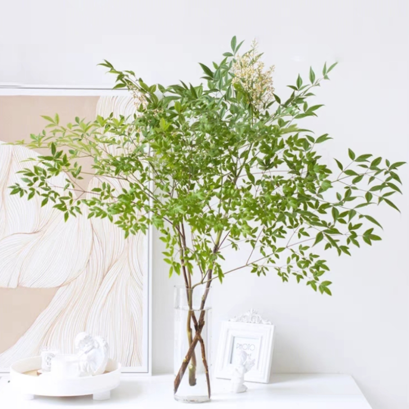 南天竹Nandina鲜切花1扎兰天竹蓝天竹楠天竹水养花卉鲜切枝吊钟马醉木平替