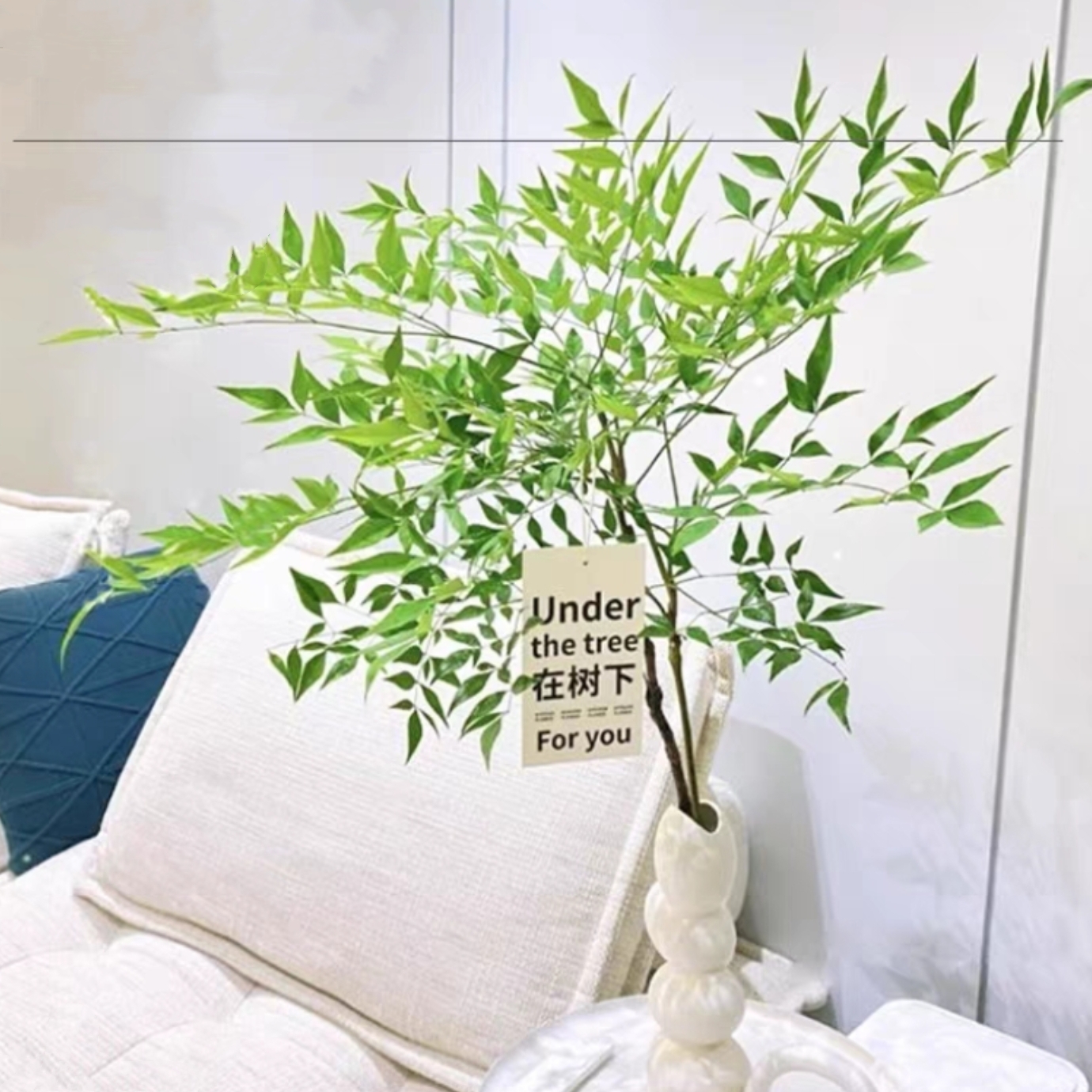 南天竹Nandina鲜切花1扎