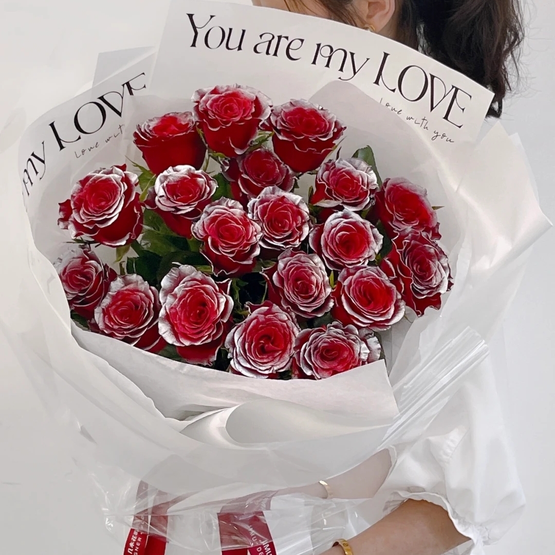 银河玫瑰花/19朵银河玫瑰花精