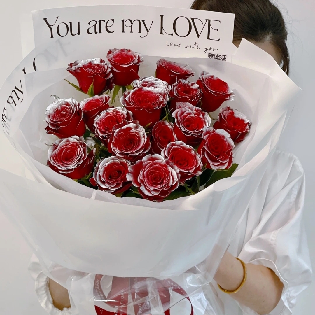 银河玫瑰花/19朵银河玫瑰花精