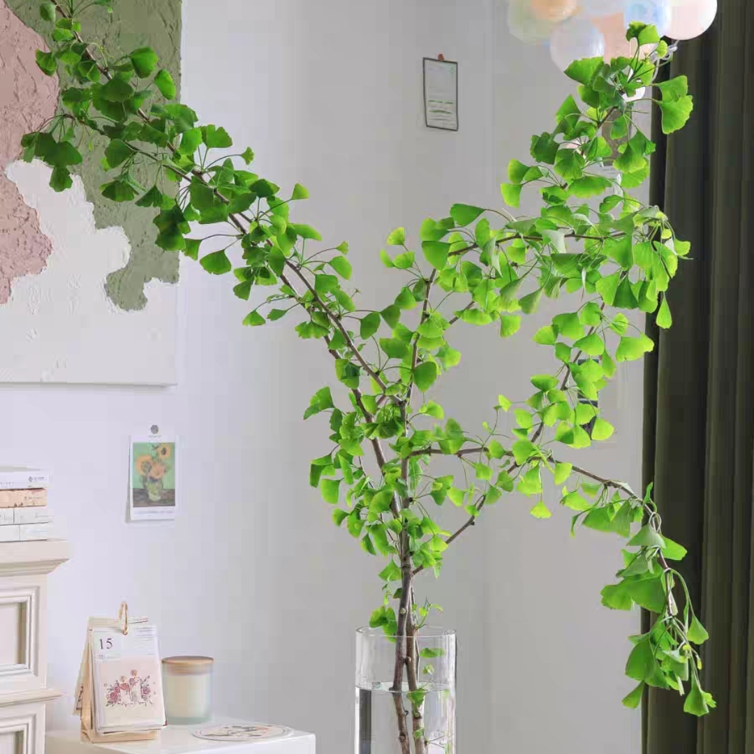 银杏叶 鲜切花 1扎2-3枝