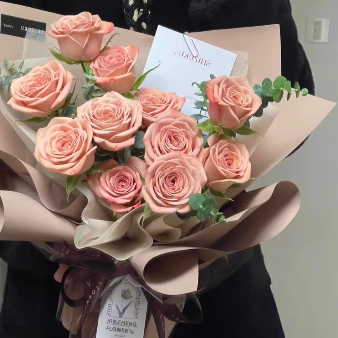 星月夜/9朵卡布奇诺玫瑰花配尤