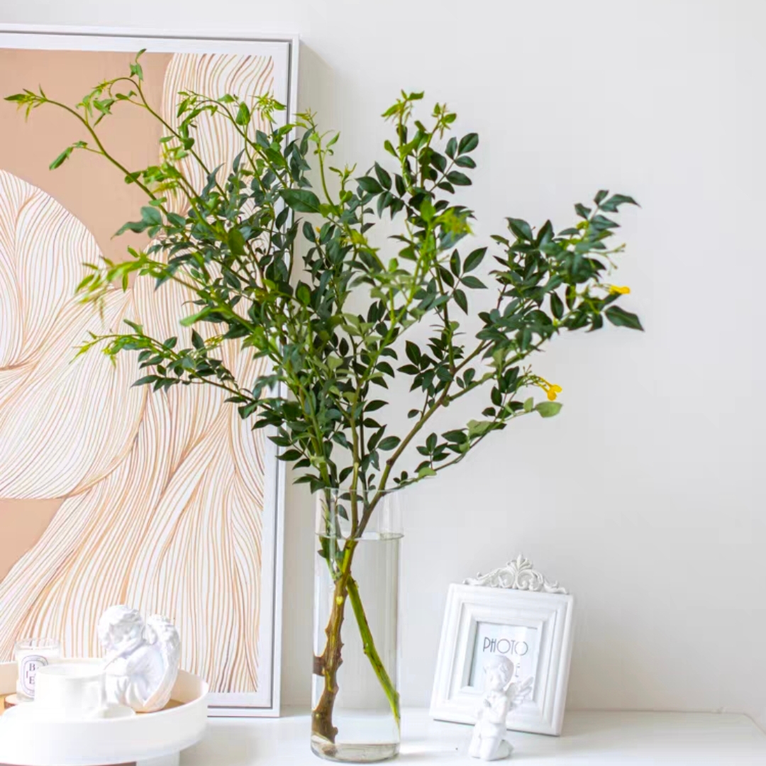 九星叶绿色叶材1扎3-5枝鲜切