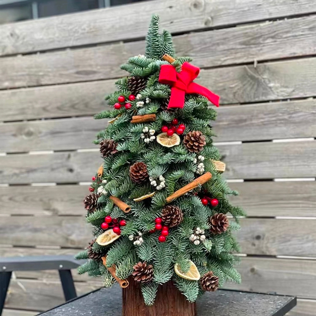 进口新鲜诺贝松圣诞树1棵真树小