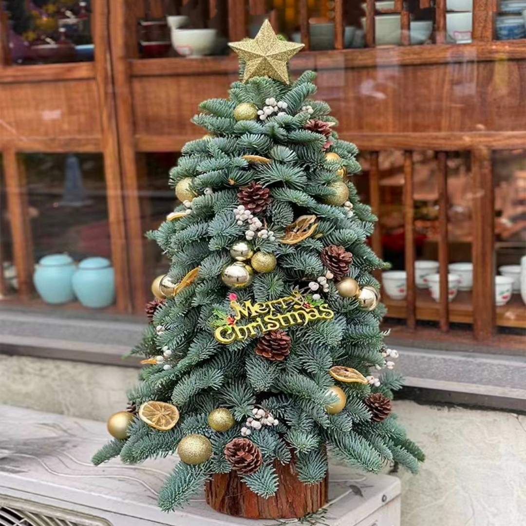 进口新鲜诺贝松圣诞树1棵真树小