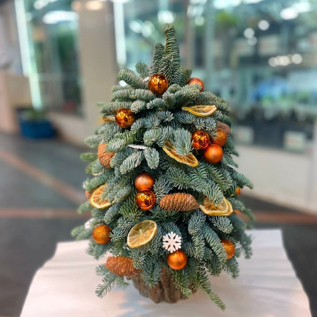 诺贝松圣诞树一颗家用桌面摆件装
