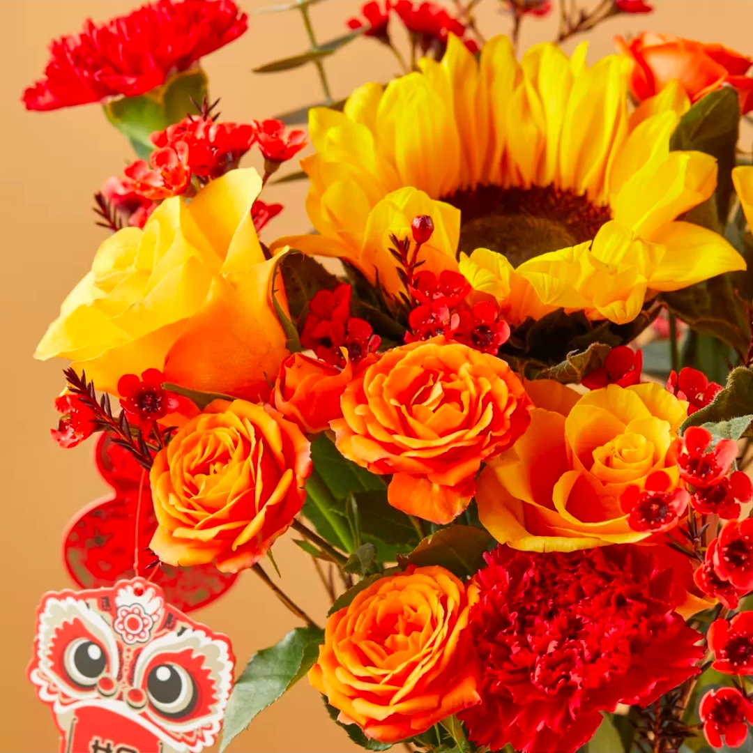 辉煌长虹/向日葵2枝+红色康乃
