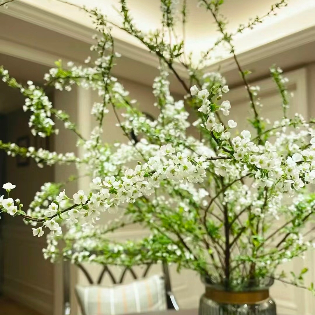 雪柳鲜花1扎3-5枝鲜枝插花水