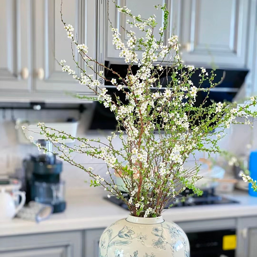 雪柳鲜花1扎3-5枝鲜枝插花水