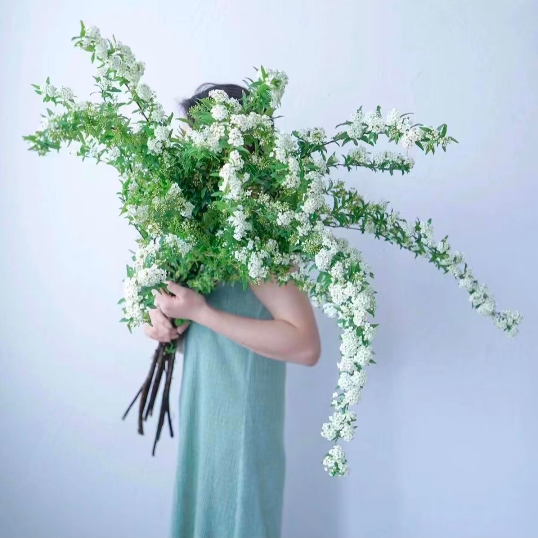 小手球鲜花1扎5枝左右带花苞室