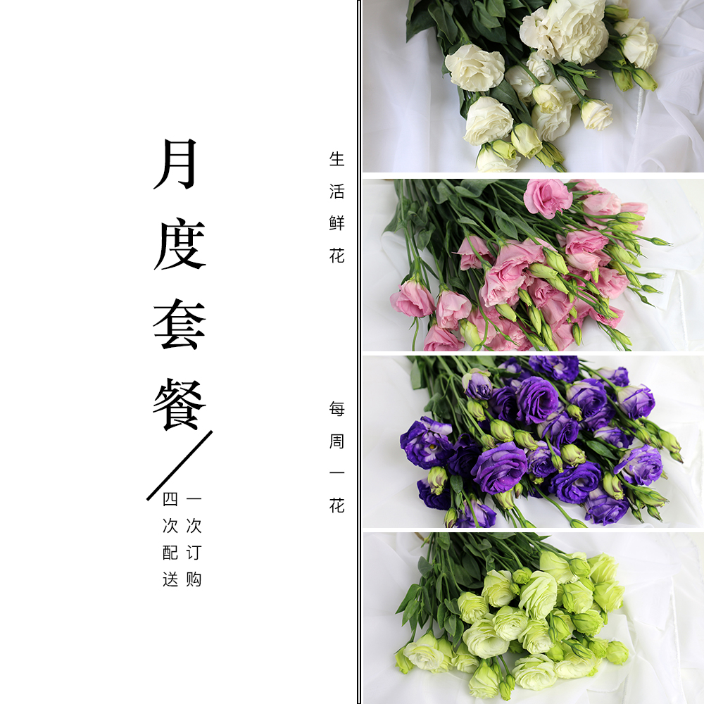 洋桔梗套餐|每周一束|总共4束