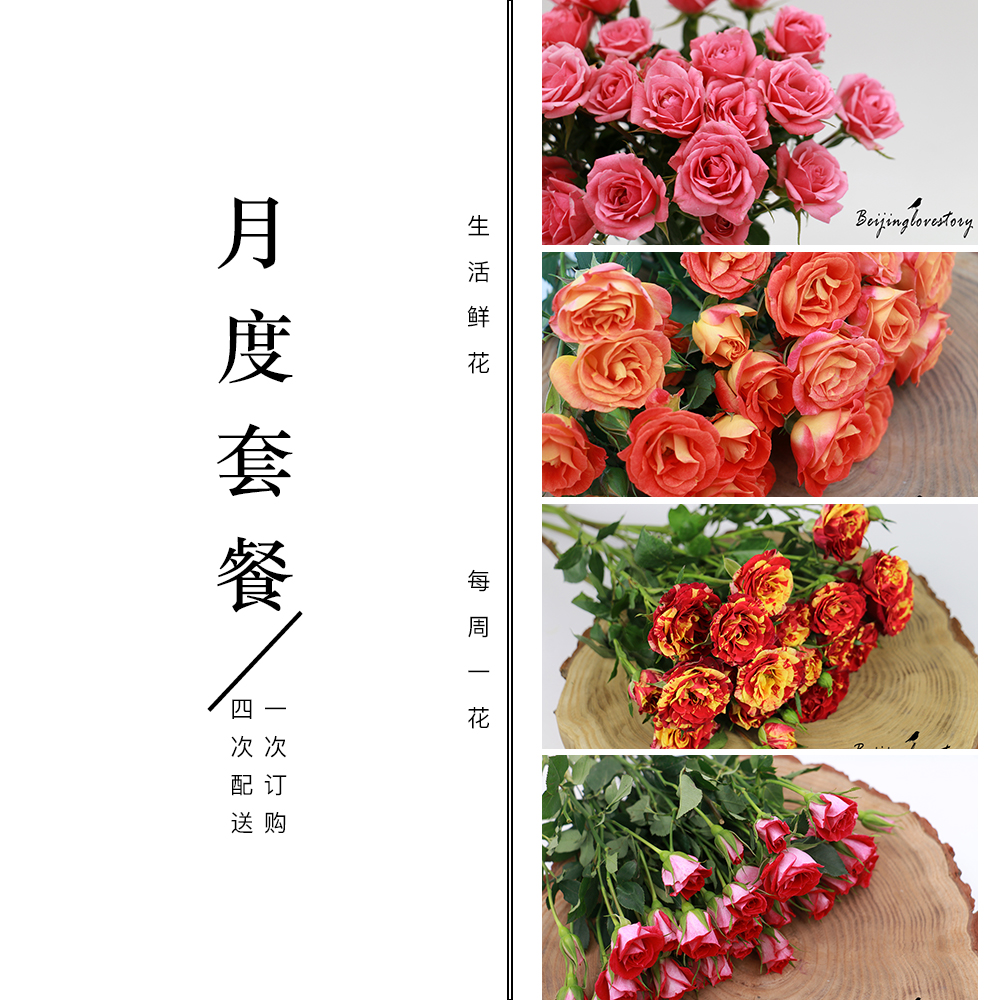 蔷薇套餐|每周一束|总共4束