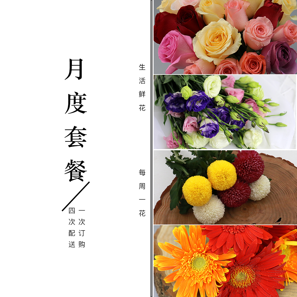 多色套餐|每周一束|总共4束