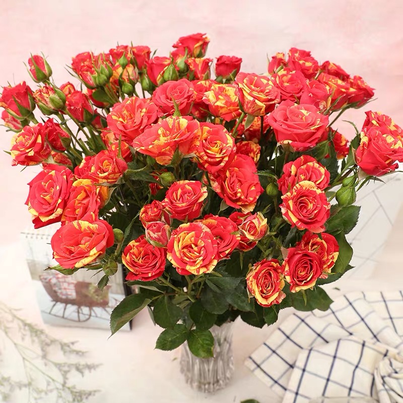 梦幻水晶多头小玫瑰花【1扎≥2