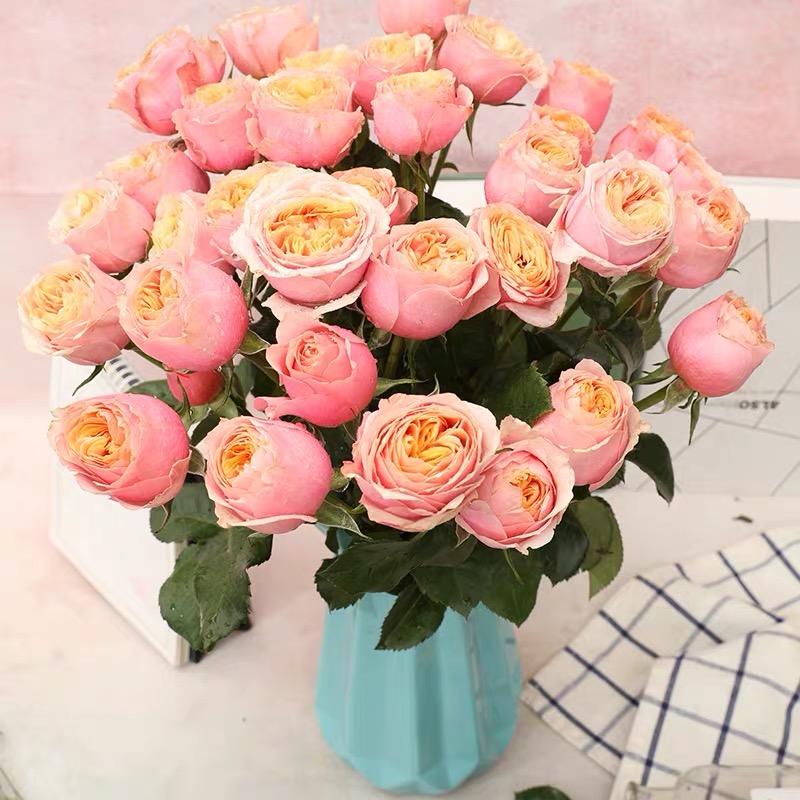 花蝴蝶 多头小玫瑰花【1扎≥1