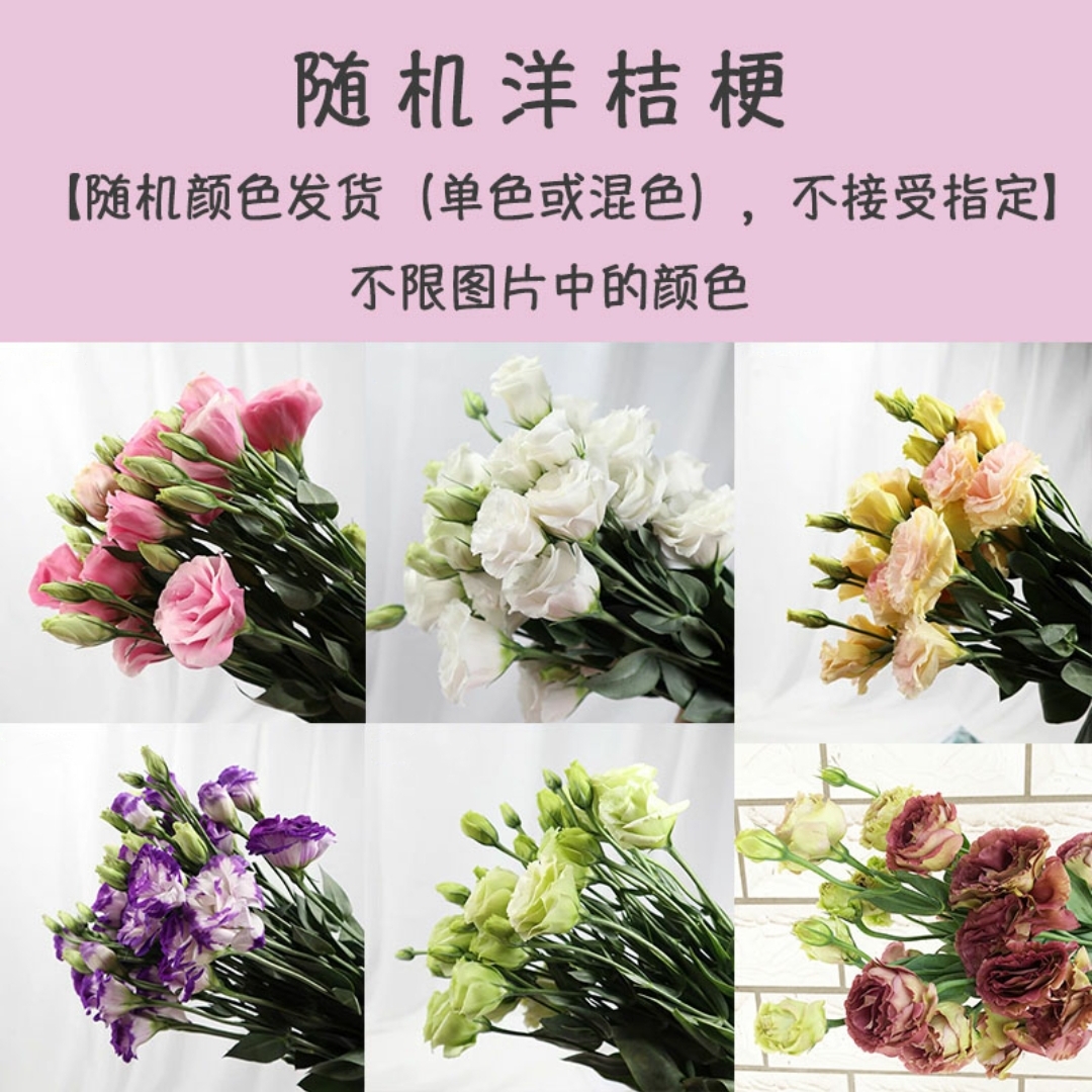 随机色洋桔梗鲜切花1扎10-1