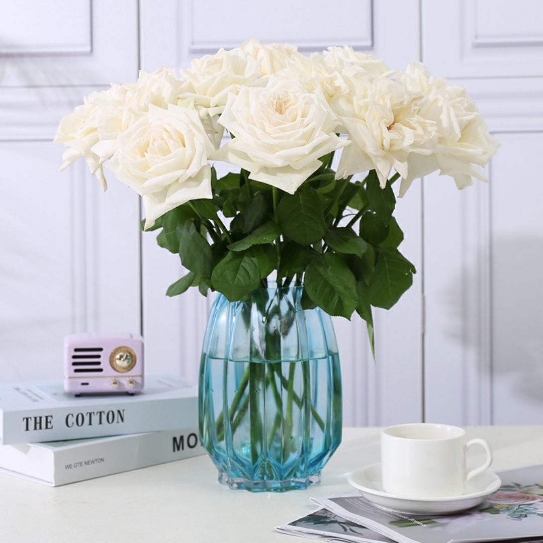 白色玫瑰花1枝 Rose 单枝