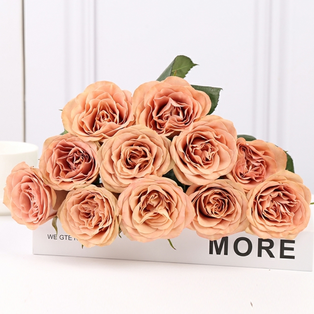 卡布奇诺玫瑰花1枝 Rose 